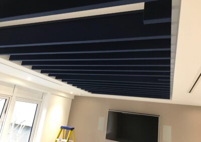 Acoustic Baffles