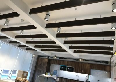 Acoustic Baffles