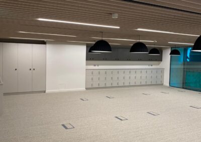 Acoustic Baffles