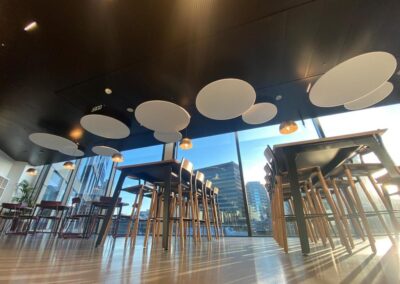 Acoustic Baffles