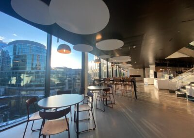Acoustic Baffles